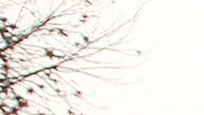 Los beneficiarios de DACA pueden obtener legalmente el Real ID, sin embargo, su periodo de validez debe corresponder con la fecha hasta la cual pueden permanecer en el país con estatus legal. 