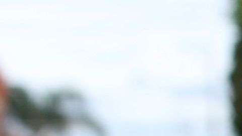 Le deseaba hacer daño a unos perros de la calle y terminó muerta.