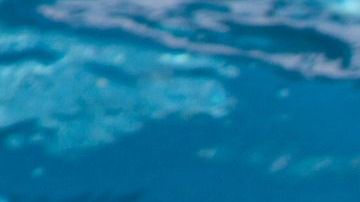 Aunque el niño esté en la piscina con los flotadores de brazos y el de forma de dona, éste no está seguro.