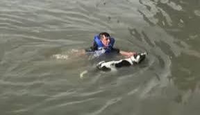 Un hombre salta a las frías aguas del East River para salvar a un perro.