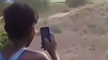 La madre solo quería que su cría muriera en paz.