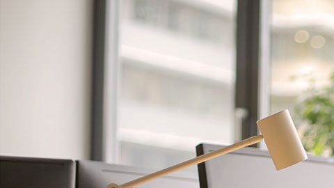 El jefe deber llevar a cabo un plan y ejecutarlo.