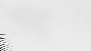 Un día de familia en Disneyland Resort