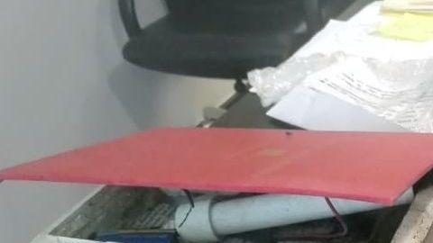 El libro-bomba en el senado