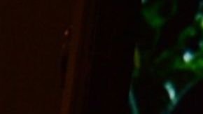 WhatsApp, aplicación de mensajería propiedad de Facebook