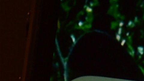 WhatsApp, aplicación de mensajería propiedad de Facebook