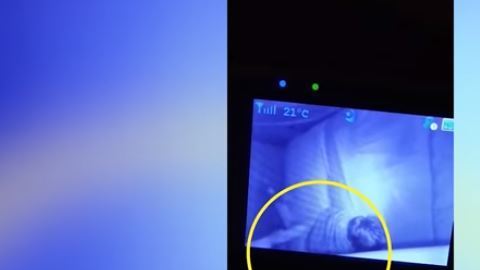 La bisabuela de este bebé estuvo muy cercana a él antes de morir.