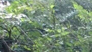 No se sabe por cuánto tiempo estuvieron abandonados