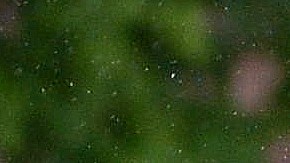 El equipo Women Premier será rival de las Águilas para el partido de Chicago. (Javier Quiroz / La Raza)