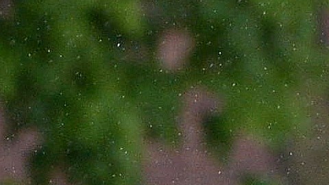 El equipo Women Premier será rival de las Águilas para el partido de Chicago. (Javier Quiroz / La Raza)