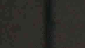 Las jugadoras de Cicero Jaguars FC, que participa por primera vez en la liga femenil United Premier Soccer League. (Javier Quiroz / La Raza)