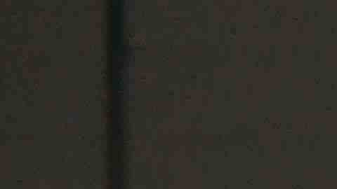 Las jugadoras de Cicero Jaguars FC, que participa por primera vez en la liga femenil United Premier Soccer League. (Javier Quiroz / La Raza)