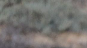 Los inmigrantes en México necesitan ayuda del gobierno.