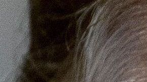 Crece la batalla legal entre el gobierno Trump y los investigadores demócratas en la Cámara Baja