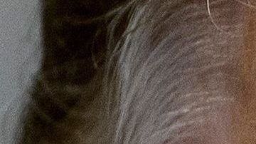 Crece la batalla legal entre el gobierno Trump y los investigadores demócratas en la Cámara Baja