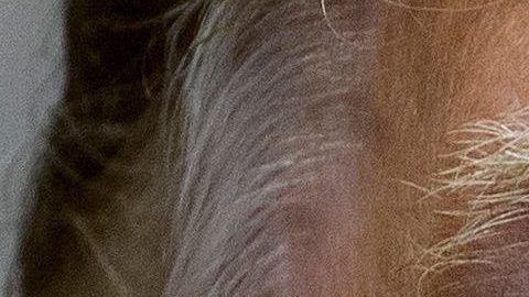 Crece la batalla legal entre el gobierno Trump y los investigadores demócratas en la Cámara Baja