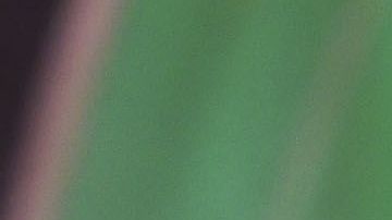 Los autos eléctricos son el futuro