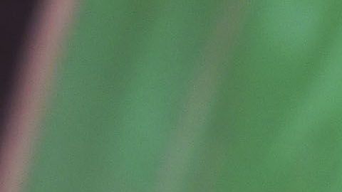 Los autos eléctricos son el futuro