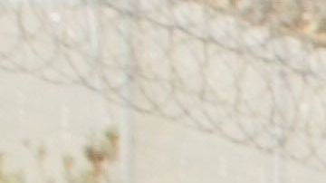 El precio oscila entre 5,000 y 7,000 dólares por un adulto con un niño