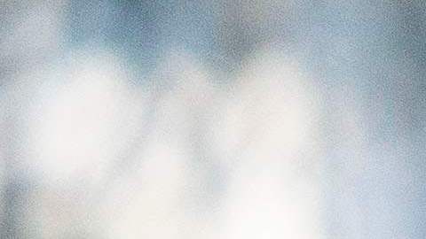 A Emma Coronel no le gustaría vivir en Nueva York.