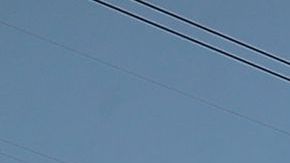 AMLO quiere que México produzca lo que necesita.