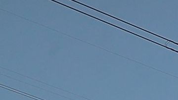 AMLO quiere que México produzca lo que necesita.