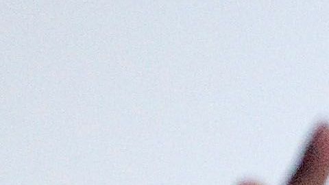 Alexandria Ocasio-Cortez es una de las estrellas en ascenso del Partido Demócrata.