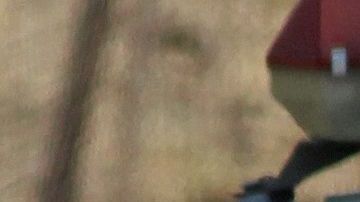 Forenses recuperan cadáveres en Ixtlahuacan de los Membrillos, Jalisco.