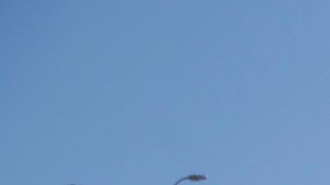 Una madre y su hijo se entregan a la Patrulla Fronteriza en El Paso.