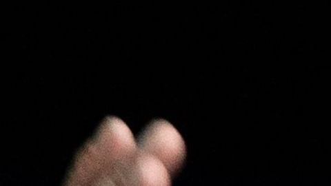 El ofrecimiento de Schwarzenegger rápidamente se hizo viral