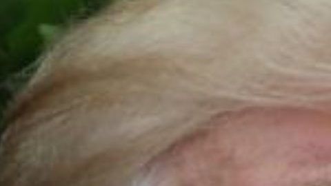 Trump invocó disposición de emergencia para autorizar la venta