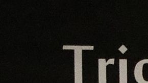 Fotos de las víctimas mostradas en el juicio contra Michael Gargiulo.