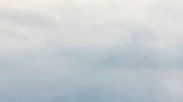 Tras el aterrizaje de emergencia, el avión quedó envuelto en llamas