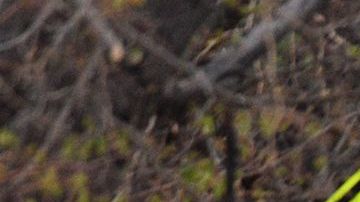 El área fue acordonada en Colorado.