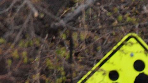 El área fue acordonada en Colorado.