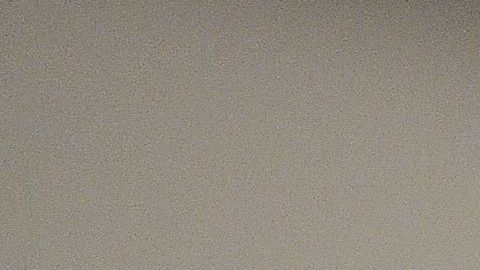 Jared Polis, gobernador de Colorado.