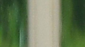 El presidente Trump sigue perdiendo en las cortes.