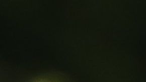 En 2020 se decide si Donald J. Trump es reelecto.