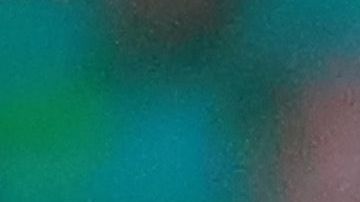 Macías durante un partido del León contra el América.