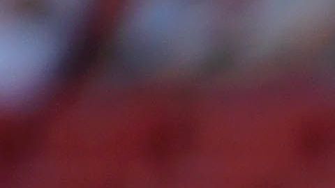 Harry Kane y Mauricio Pochettino en la víspera previo a la final de la UCL.