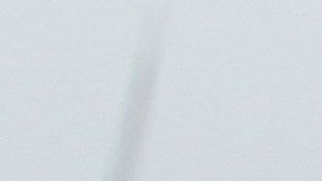 Al presidente Trump le encanta jugar golf.