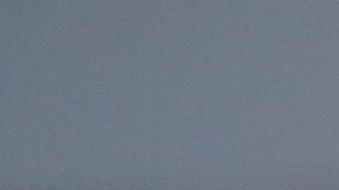 Se trata de los cónyuges de los inmigrantes con visa de trabajo H-1B