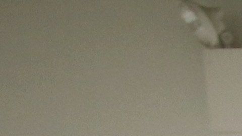 Los trámites en USCIS están tomando más tiempo.