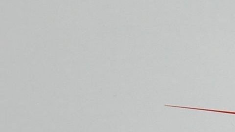 Shannon De Lima y Marc Anthony.