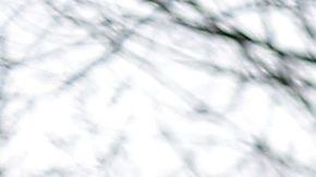 Ken Cuccinelli (i) y Rand Paul en una foto de julio de 2014.