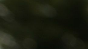 El presidente Trump ha afirmado que los inmigrantes aumentan la delincuencia.