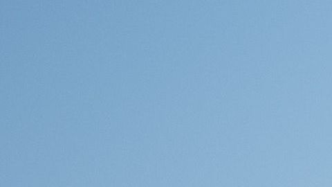 ¿Costco será el proximo vendedor de autos número 1 en América?