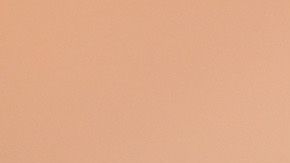 Sofia Vergara y Joe Manganiello.