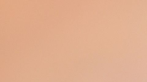 Sofia Vergara y Joe Manganiello.