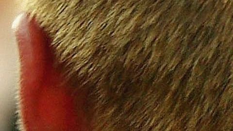 Brad Pitt y Jennifer Aniston.